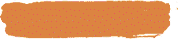 宠物-图鉴名称背景-橙.png