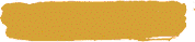 宠物-图鉴名称背景-金.png