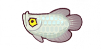 鱼灵·龙鱼·龙胆.png