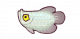鱼灵·龙鱼·龙胆.png
