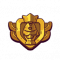 Icon-黄金徽章.png