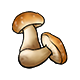 文件:物品·牛肝菌.png