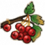 物品·山楂.png