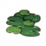 物品·浮萍.png