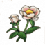 物品·白芍.png