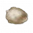 物品·羊毛.png