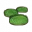 物品·王莲.png
