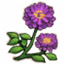 物品·冥罗花.png
