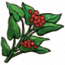 物品·奇草.png