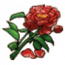 物品·牡丹花.png