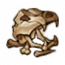物品·骨头.png
