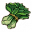 物品·青菜.png