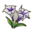 物品·曼陀罗花.png