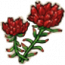 物品·红景天.png