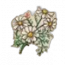 物品·香甘菊.png