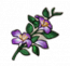 物品·五灵花.png