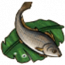 物品·米鱼.png