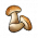 物品·牛肝菌.png