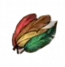 物品·羽毛.png