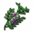 物品·甘草.png