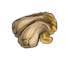 物品·酸菜（霉）.png