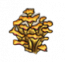 物品·天麟菇.png