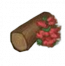 物品·凤凰木.png