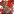 不动明王.png