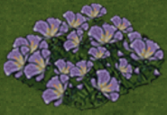 紫丁香花圃1.png