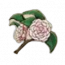 物品·山茶花.png