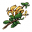 物品·金银花.png