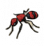 物品·红绒蚁.png
