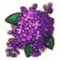 物品·紫丁香.png
