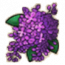 物品·紫丁香.png