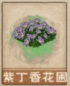 紫丁香花圃.png