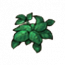 物品·杂草.png