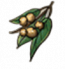 物品·巴豆.png