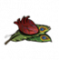 物品·孔雀心.png