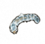 物品·寒蚕.png