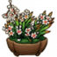 物品·盆景.png