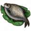 物品·扁鱼.png