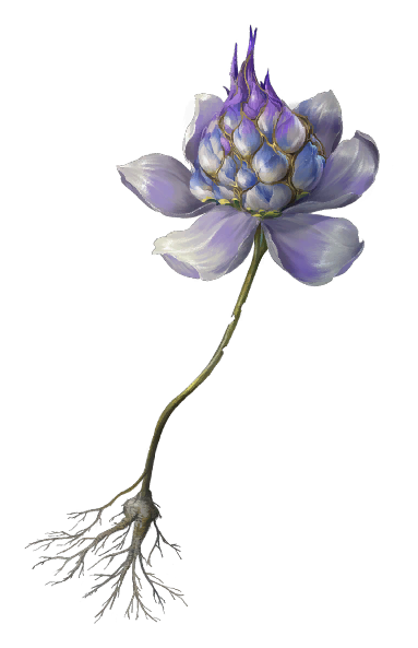 文件:紫金之花.png