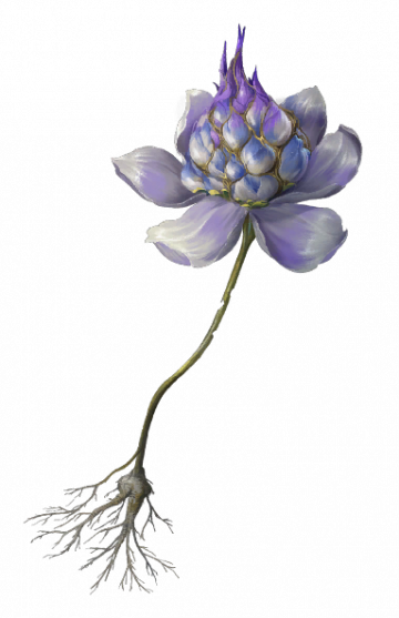 紫金之花
