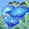 苜蓿（浴衣） 共鸣二.png