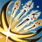 次元分析者 限定三.png