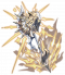 武器 白之教义·至宝 原画.png