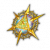 耀金星徽图标.png
