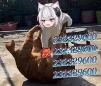 肘击.png