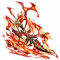 武器 赤色伤痕·至宝 原画.png