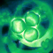 苜蓿（浴衣） 共鸣一.png